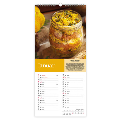 ŠČEPEC ZDRAVJA (zelišča z opisi)